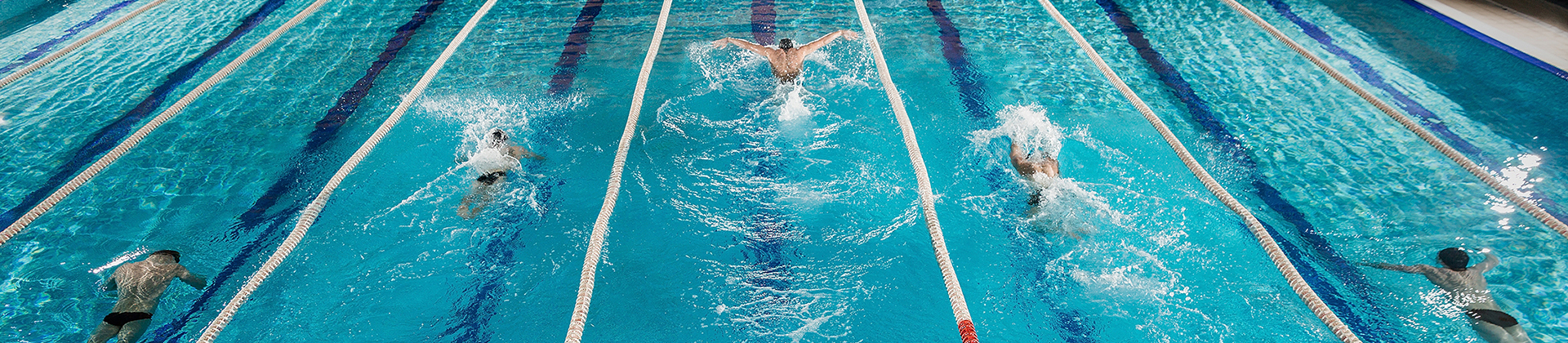Five swimmers racing against each other in a swiming pool